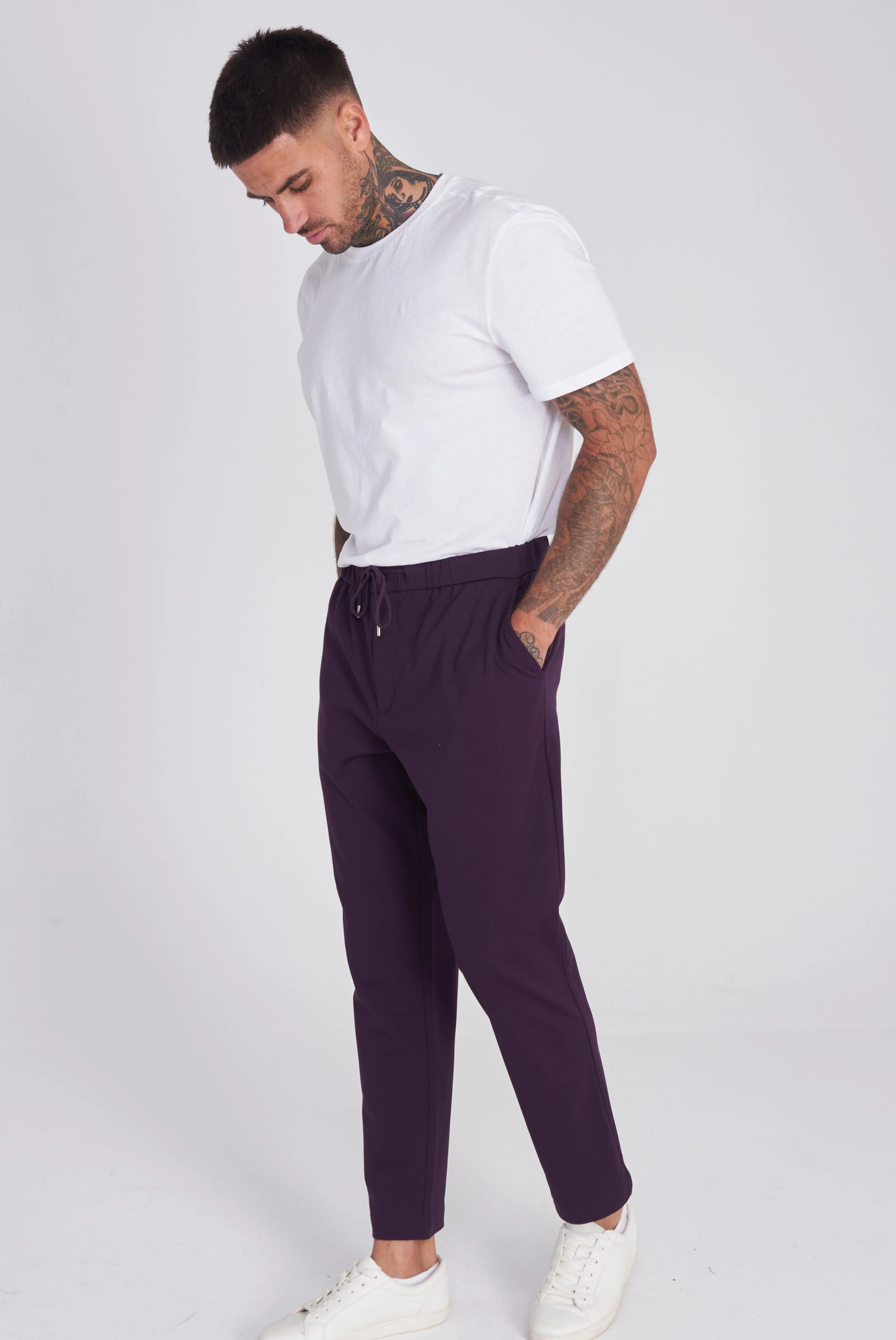 Pamplona Harry Brown Trouser in Purple - Image 4